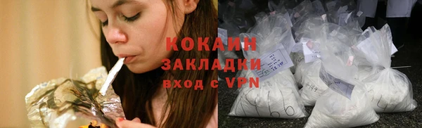 дживик Краснослободск
