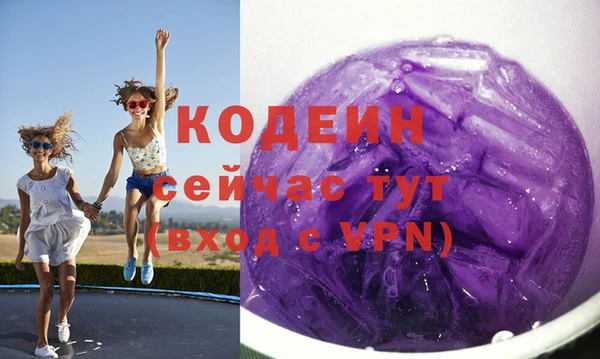 крисы Кодинск