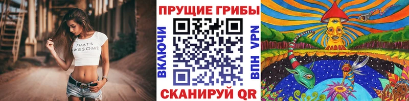Псилоцибиновые грибы мицелий  Купить закладки  Белая Холуница 